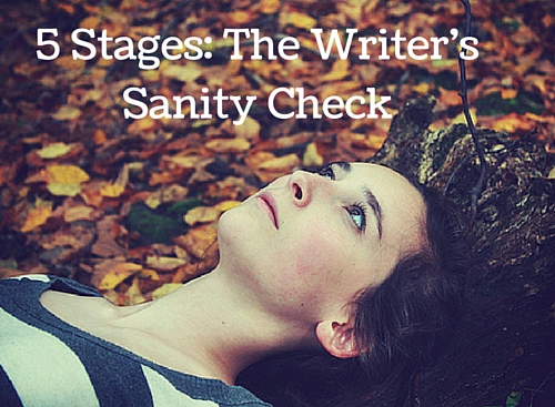 5 Stages_ The Writer's Sanity Check Break
