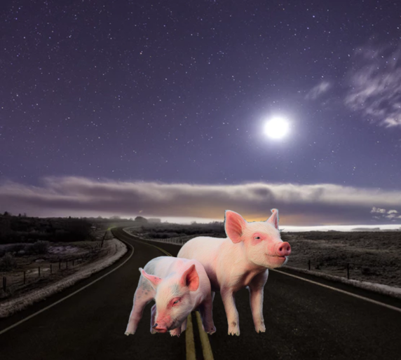 Pigs Road Moon unsplash composite