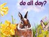 “I think the storyline is ideal for young children” – What do Bunnies do all Day by Judy Mastrangelo