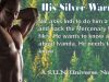 PRE-ORDER HIS SILVER WARRIOR NOW! RELEASES AUG 5TH–HIS SILVER WARRIOR BY CHERIME MACFARLANE–S.U.N. UNIVERSE NOVEL!